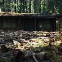 How many horror movies feature THE WOODS?